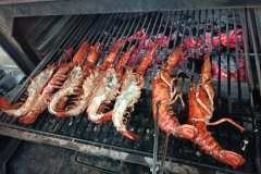 1_faroazahar.com000055