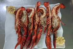 faroazahar.com000056