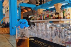 20230907_115153-scaled