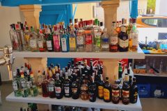 20230907_115507-scaled