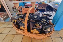 20230907_115512-scaled