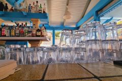 20230907_115518-scaled