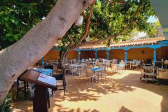 20230907_115530-scaled