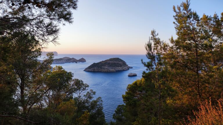 Cap Negre10