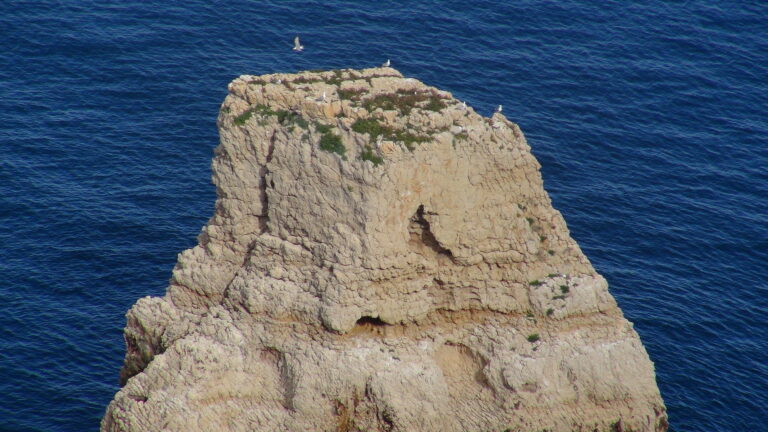 Cap Negre8