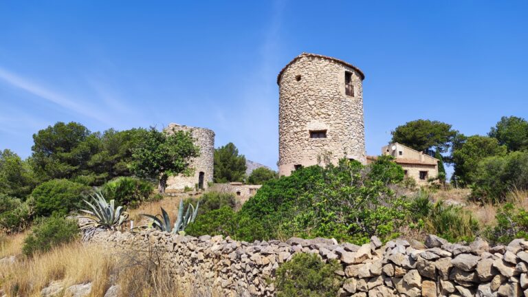 El Molins6